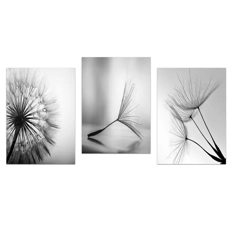 3pcs Black and White Dandelion Flower Wall Posters